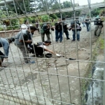 POLISI TANGKAP PELAKU TEROR GEREJA SANTO YUSUF