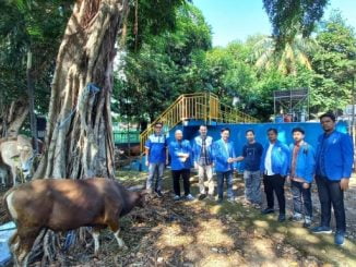 gerakan angkatan muda kristen indonesia