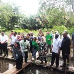 uem dan pgi tanam pohon mangrove