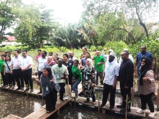uem dan pgi tanam pohon mangrove
